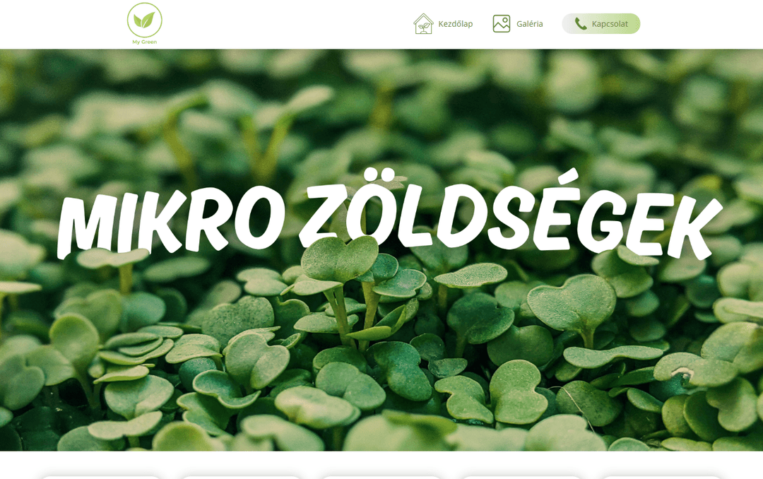 portfolio - Mygreen